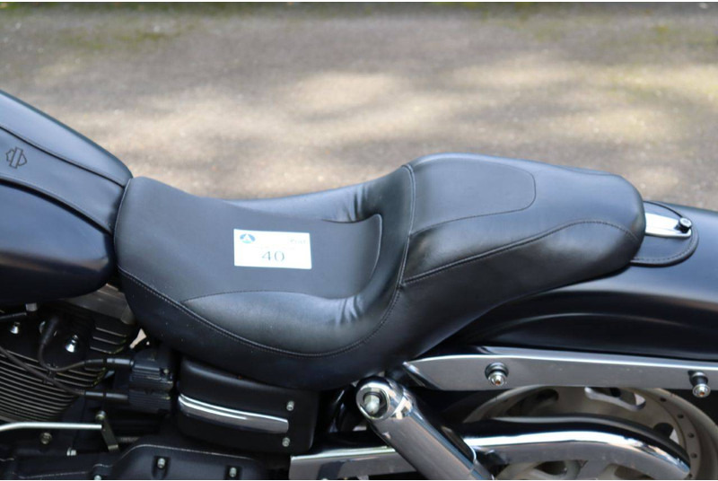 Motorcycle Harley-Davidson Dyna Fat Bob: picture 20