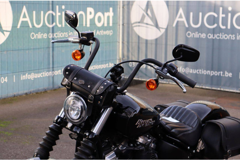 Motorcycle Harley-Davidson Street Bob: picture 11