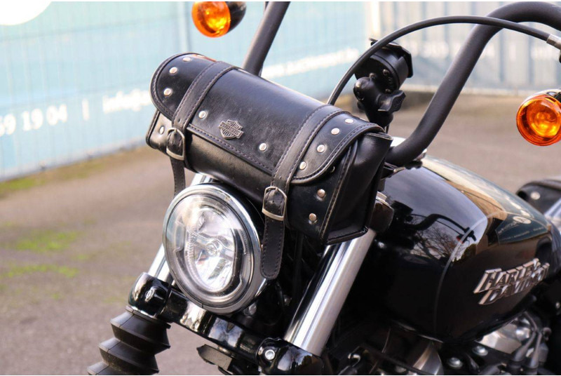 Motorcycle Harley-Davidson Street Bob: picture 15