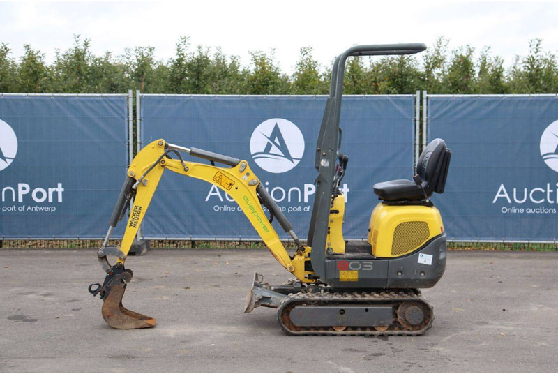 Neuson 803 - Mini excavator: picture 1 Neuson 803 - Mini excavator: picture 1