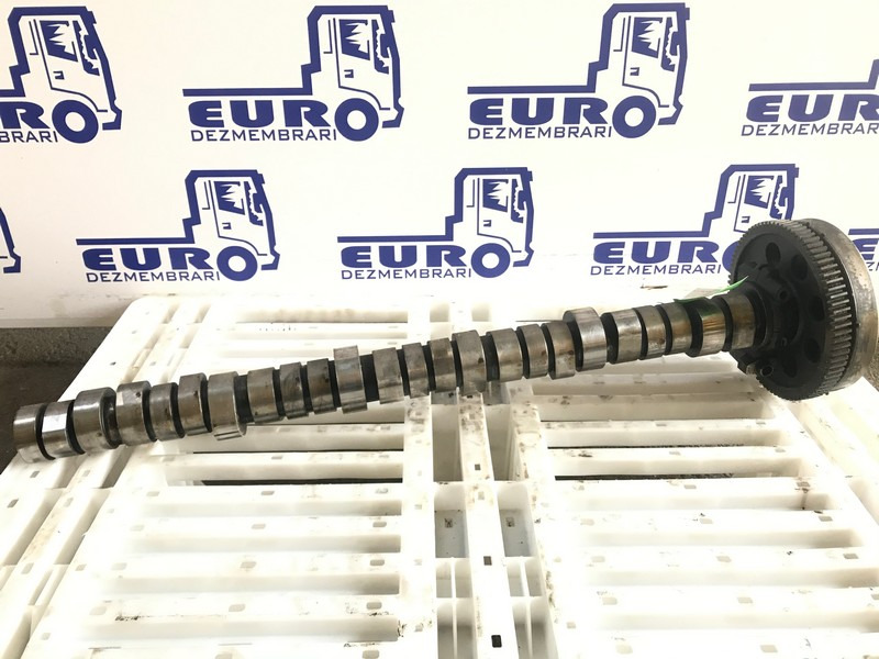 AX CU CAME RENAULT DXI 11 20746807 - Camshaft for Truck: picture 1 AX CU CAME RENAULT DXI 11 20746807 - Camshaft for Truck: picture 1