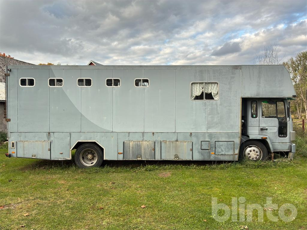 VOLVO FL614 - Horse truck: picture 2 VOLVO FL614 - Horse truck: picture 2