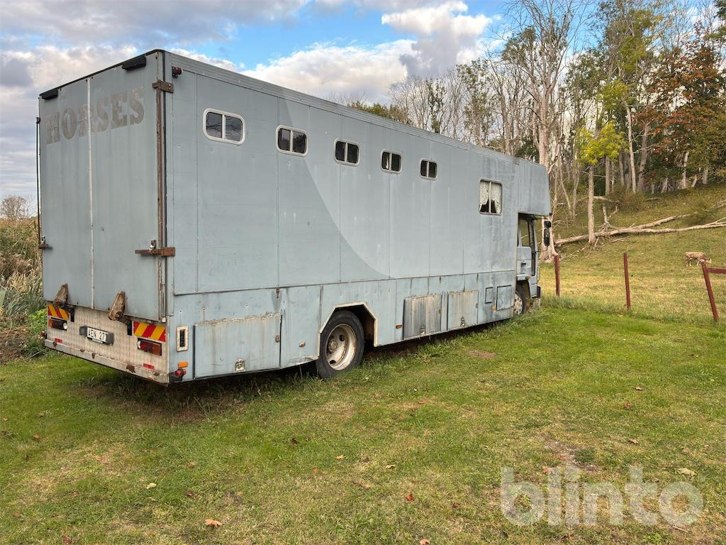 VOLVO FL614 - Horse truck: picture 3 VOLVO FL614 - Horse truck: picture 3